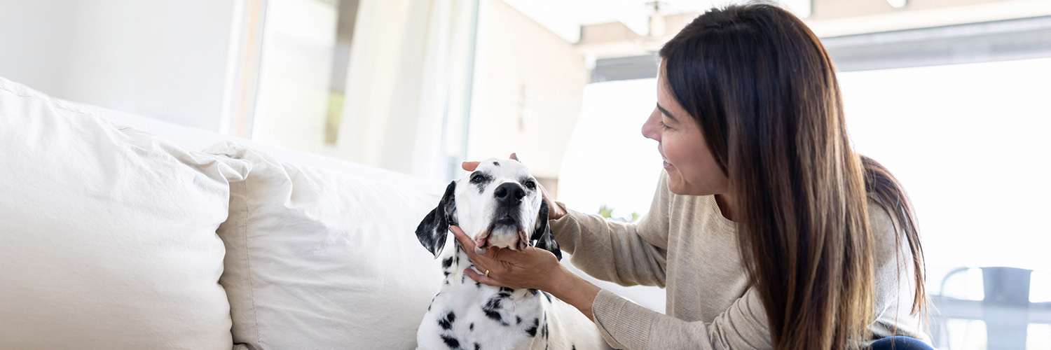 Michigan Pet Insurance Coverage